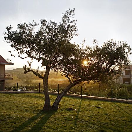 Casas De Vale De Lobo Villa Mirandela Eksteriør bilde